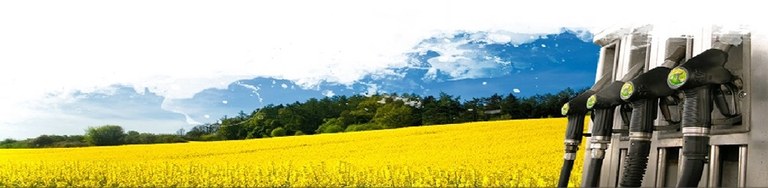 O Químico está presente na produção de biocombustíveis.