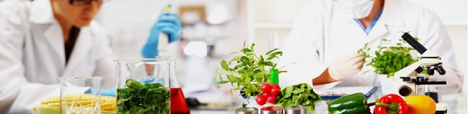 O Químico está presente na produção de alimentos.